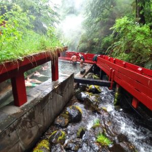 Programa 4 NOCHES 5 DÍAS Huilo – Huilo Y Termas Geométricas con Alojamiento en Hostal Chabunco Panguipulli